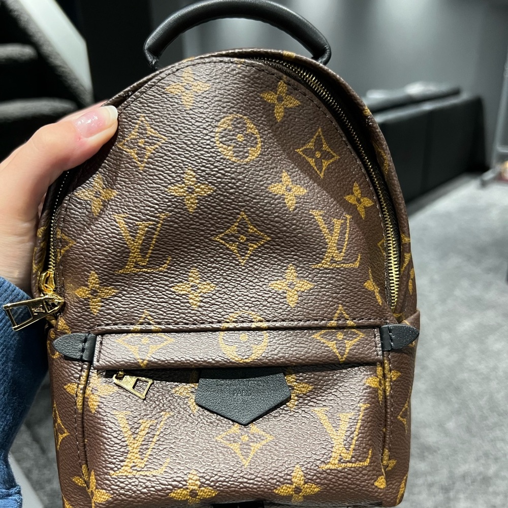 Louis Vuitton Palm Springs Backpack Mini